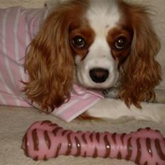 Blanding af racer Pippi