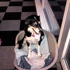 Blanding af racer tulle