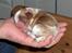 Cavalier king charles spaniel Lunel {Lynel} - Lunel - ganske ny