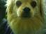 Blanding af racer Coco <3 | i<3'u |Min Skat