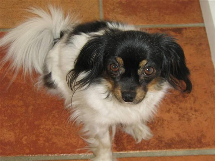 Phalene Zita - Nurh ! :´) billede 20