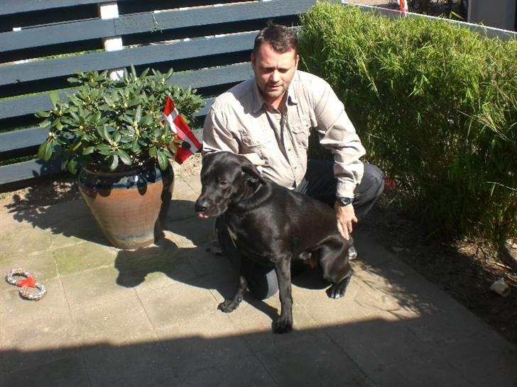 Blanding af racer Bella  R.I.P - Bella 1 år billede 18