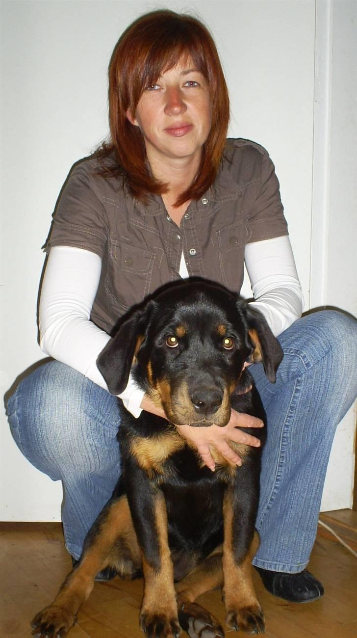 Rottweiler Ziva aka "pølse" - Ziva og jeg billede 19