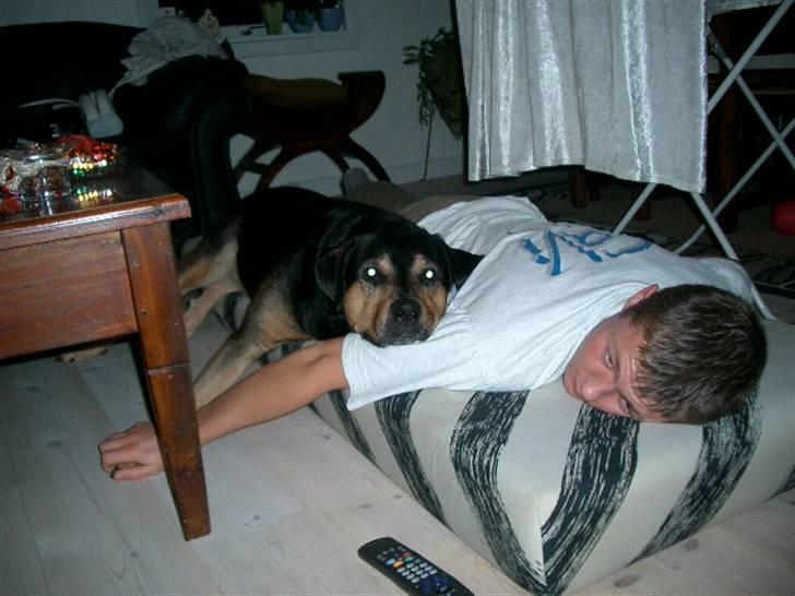 Blanding af racer Mulle - Mulle og Mark hygger på madressen billede 10