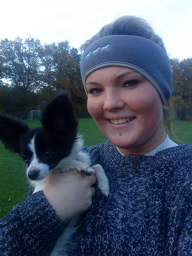 Papillon Silke <3 - Os to <3 billede 14