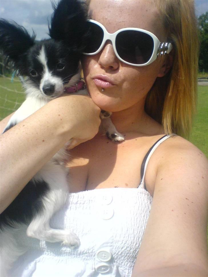 Papillon Silke <3 - Igen <3 billede 18