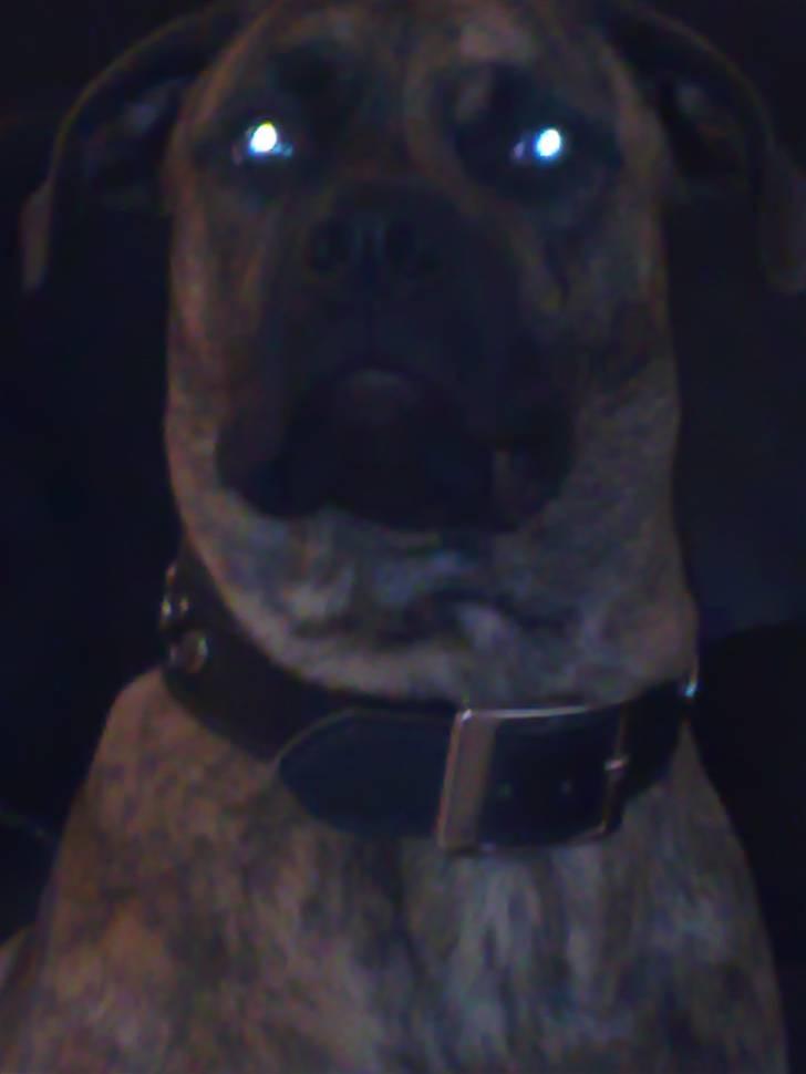 Blanding af racer gismo billede 11