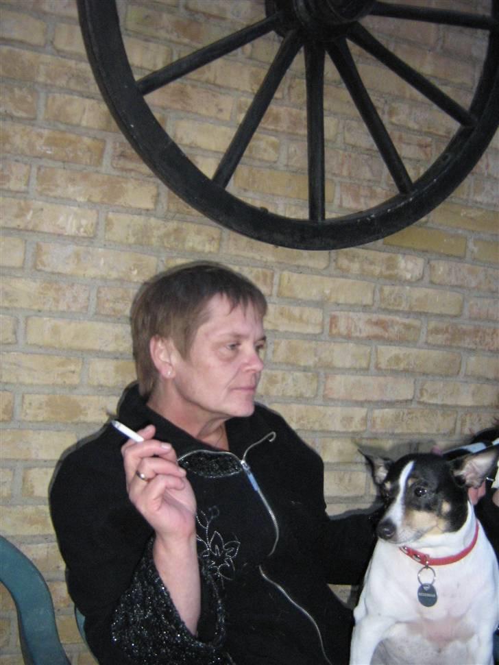 Blanding af racer kiwi - Sidder lige på min mor og holder øje med det hele billede 2