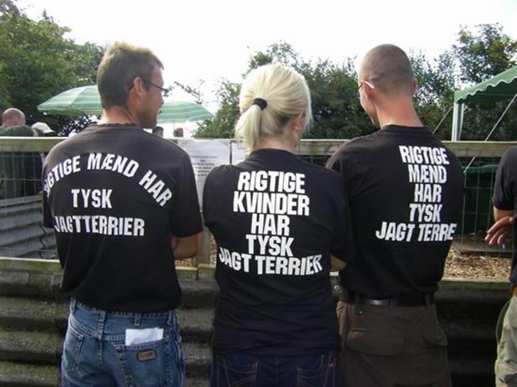 Tysk jagtterrier Gucci - den lokale terrier klub fra thy til stævne kom hjem med 2 pladsen billede 8