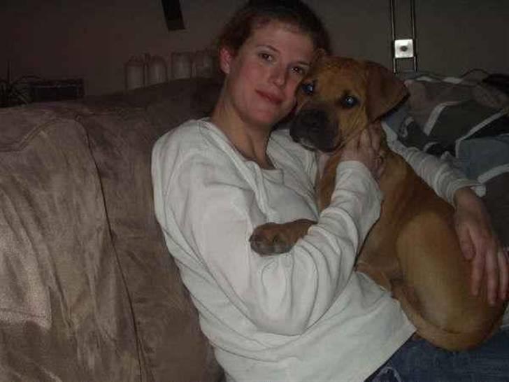 Amerikansk staffordshire terrier Buster - Rigtig Putte Dreng billede 11