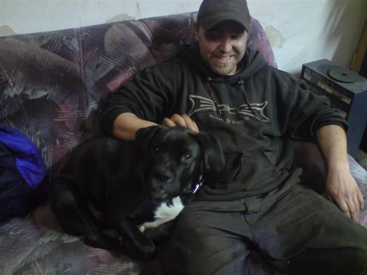 Blanding af racer Laica - Far og mig der hygger lidt på sofaen i værkstedet.. billede 7