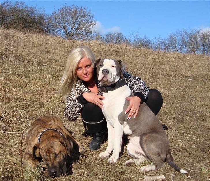 Amerikansk staffordshire terrier Bea - Bea og Nala med den stolte "mor" billede 18