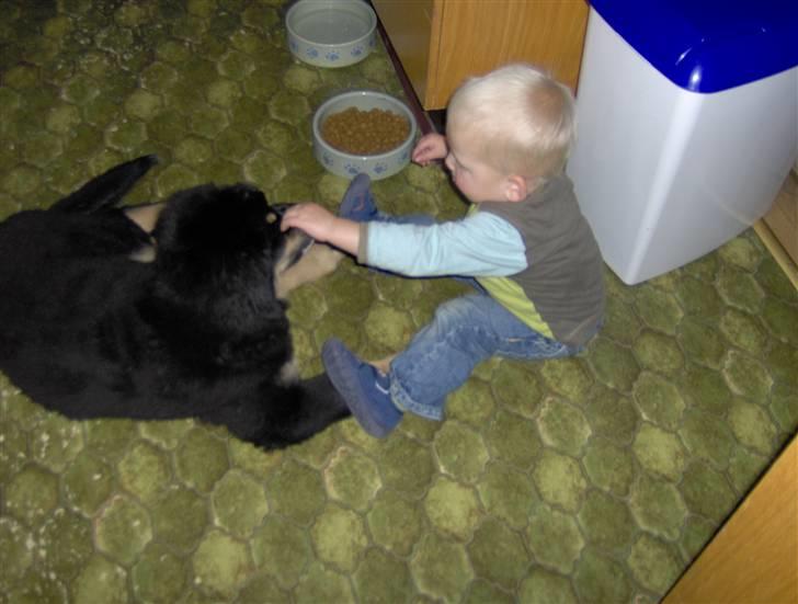 Blanding af racer sasha - husk en af gangen billede 11