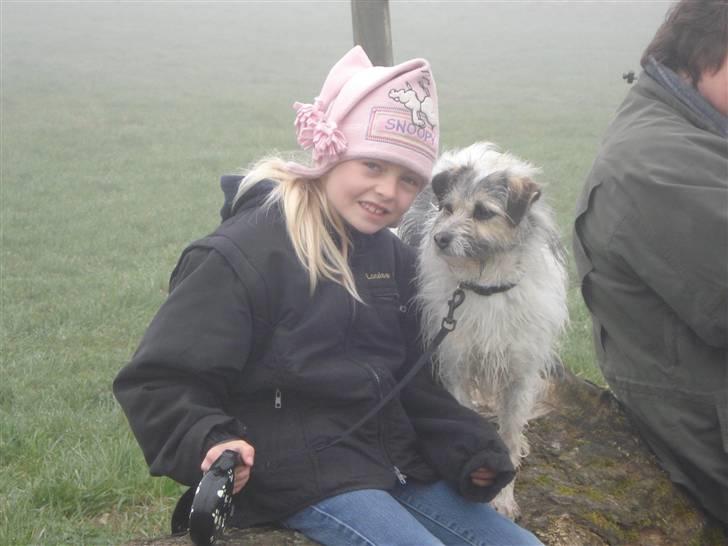 Blanding af racer - Loui.=)drømme hund=) - sille og louie skatten billede 7