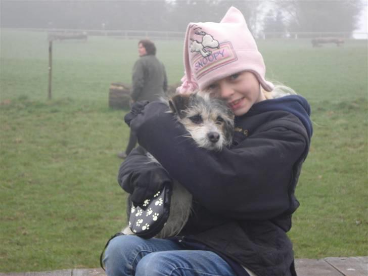 Blanding af racer - Loui.=)drømme hund=) - sille og louie skatten billede 8