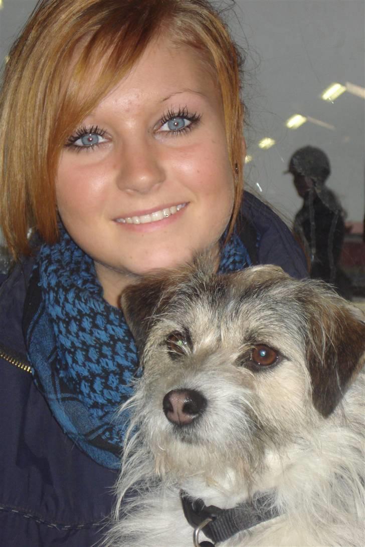 Blanding af racer - Loui.=)drømme hund=) - camilla og louie til heste stævne på mjr.=) billede 9