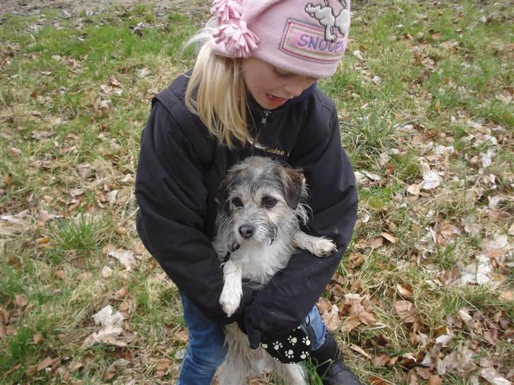 Blanding af racer - Loui.=)drømme hund=) - sille og louie skatten =) billede 13