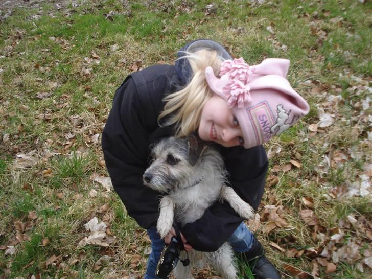 Blanding af racer - Loui.=)drømme hund=) - sille og louie skatten =) billede 14