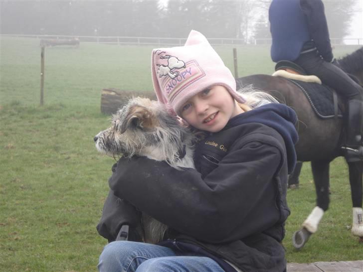 Blanding af racer - Loui.=)drømme hund=) - sille og louie skatten =) billede 15