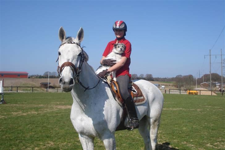 Blanding af racer - Loui.=)drømme hund=) - hej hej tak fordi i så mine billeder=) lig lige en kommetar=) billede 16