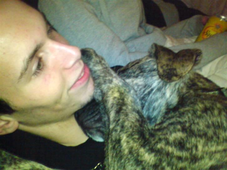 Blanding af racer Max billede 11