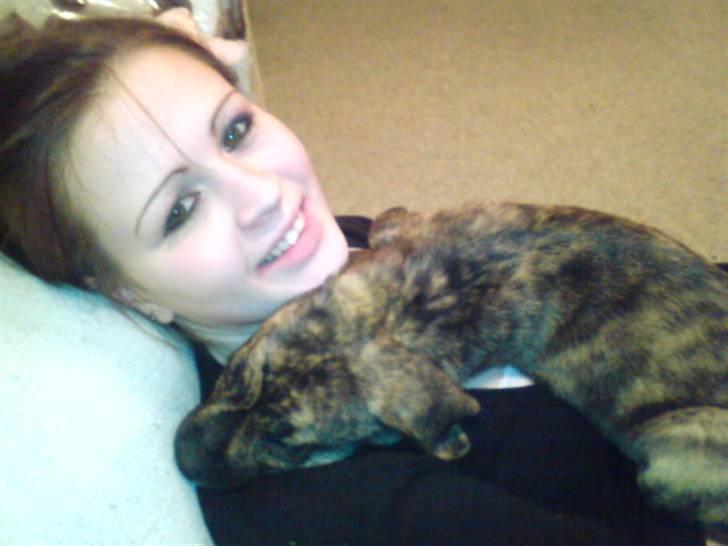 Blanding af racer Max billede 12