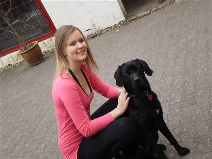 Blanding af racer Laica - Laica og jeg (: <3  billede 14