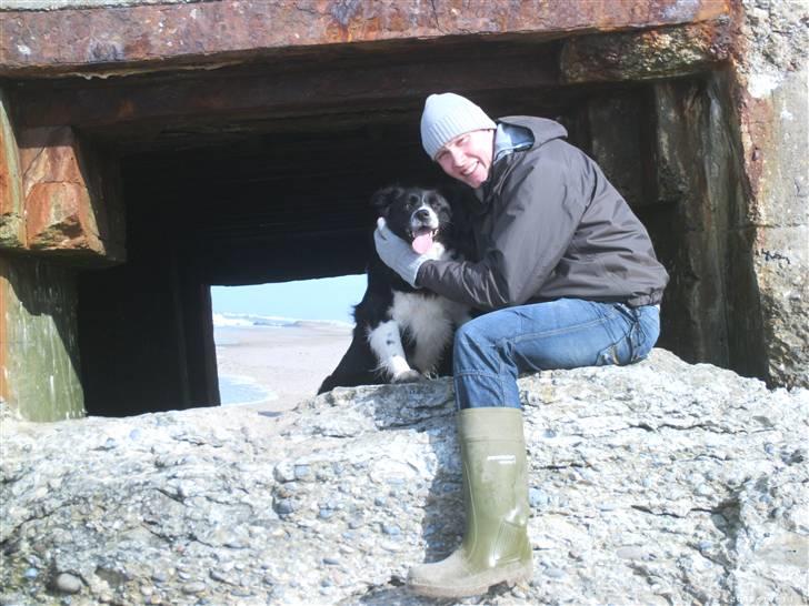 Blanding af racer Tika - Tika er med far på oplevelse i en bunker billede 14