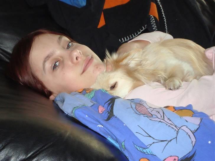 Blanding af racer Coco <3 | i<3'u |Min Skat - Hygge.. hun lægger sig altid de mærkligste steder xD elskede hund xD billede 11