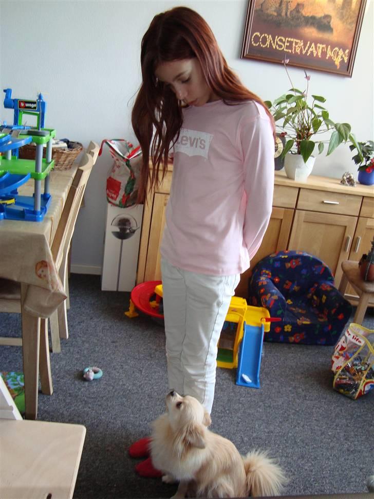 Blanding af racer Coco <3 | i<3'u |Min Skat - "Ja Moar ?" xD billede 12