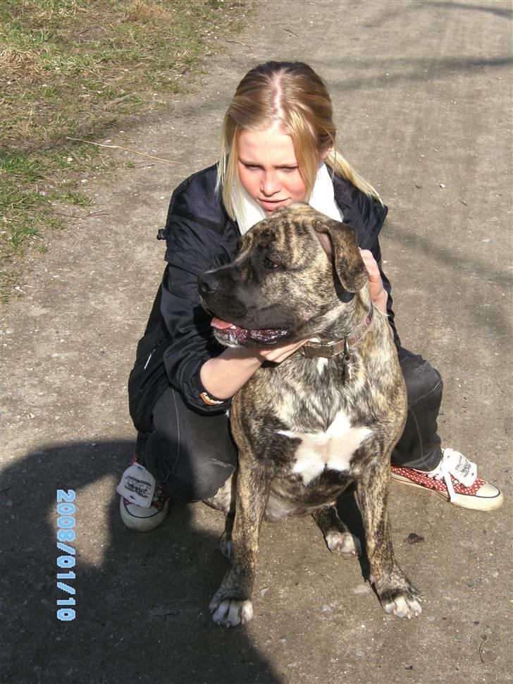 Blanding af racer Nouba - Min "søster" og jeg stiller da gerne op til fotografering - men jeg gider ikke kigge ind i det kamera. 7 mdr. billede 14