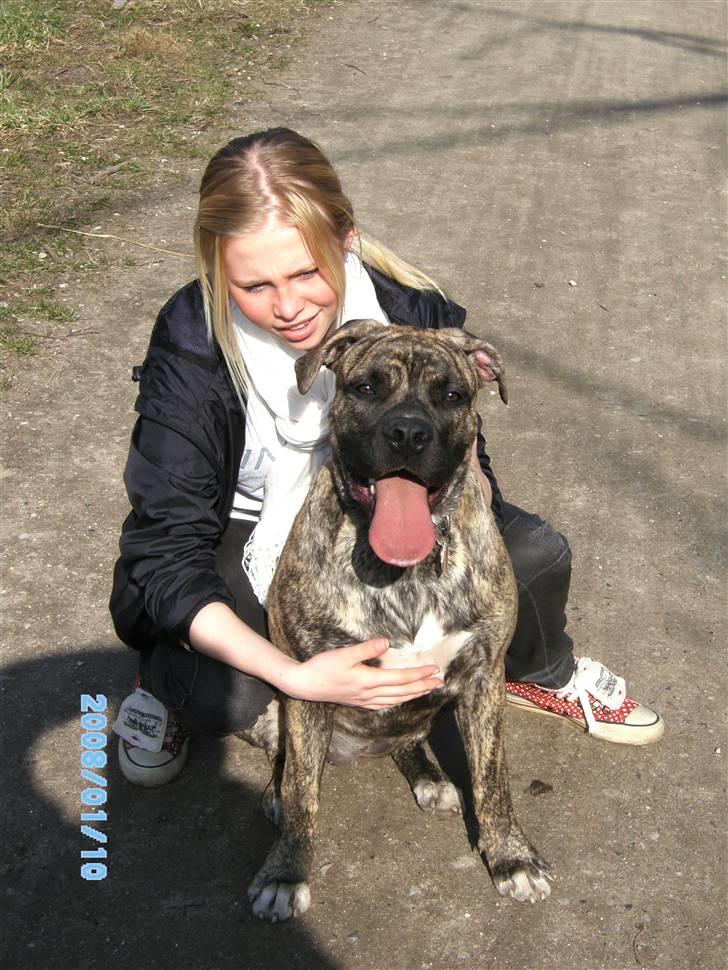 Blanding af racer Nouba - Ok du får ét billede hvor jeg kigger ind i dit kamera ;o) - 7 mdr. billede 15