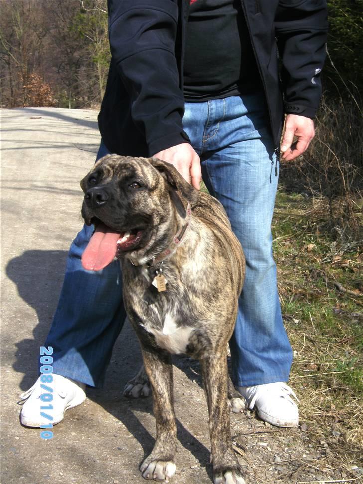 Blanding af racer Nouba - Mig og "far" igen - jeg er forøvrigt 7 måneder nu. billede 17