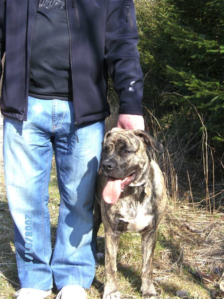 Blanding af racer Nouba - Én gang til ? Nu stopper I...... billede 18