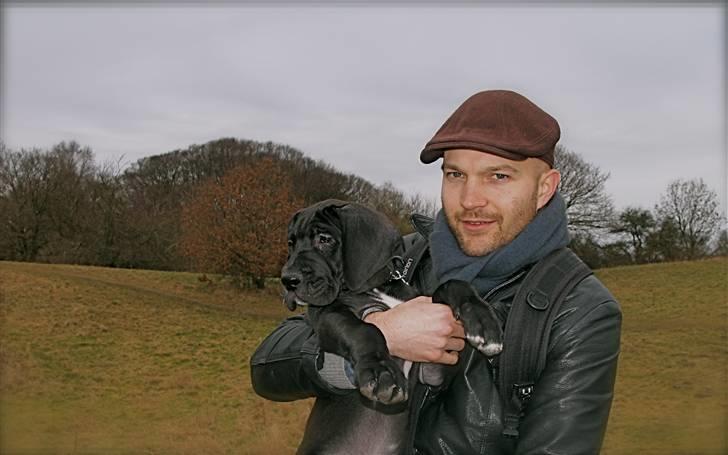 Grand danois Fenris - Fenris 9 uger billede 9