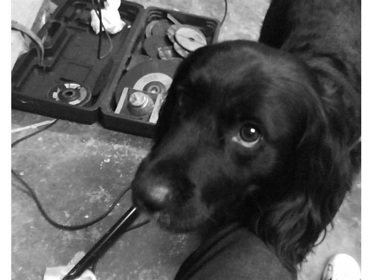 {{currentPhoto.altText}} billede {{currentPhoto.number}}