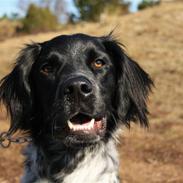 Blanding af racer Scott