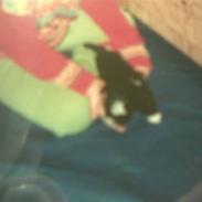 Bichon havanais Castro, givet til Farmor<3