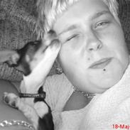 Dansk svensk gaardhund Bette MY