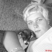 Dansk svensk gaardhund Bette MY