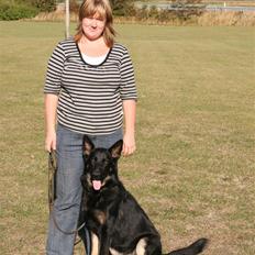 Schæferhund Jen-Ager's Jasko R.I.P