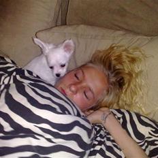 Blanding af racer Tonic Bennet