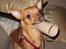 Blanding af racer Chihuahua/Dværgpinscher *~ Paya ~* R.I.P - Jeg ELSKER at lege med WC-ruller! Elsker mest af alt at splitte dem ad i 100 stykker, og se min moar samle det hele op! ;o) Hehe!