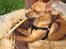 Blanding af racer Chihuahua/Dværgpinscher *~ Paya ~* R.I.P - Min helt egen pibe - Yes Sir!! ; )