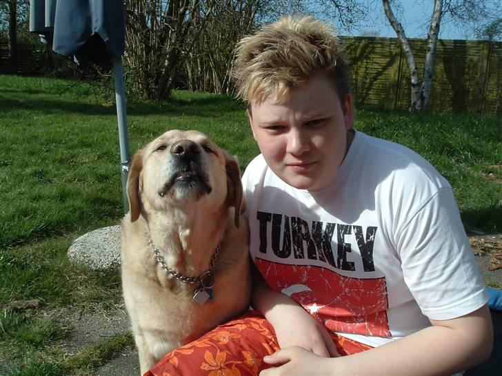 Labrador retriever Piv, aflivet 04-04-12 - 1. heeh så smiler vi til fotografen :) billede 1