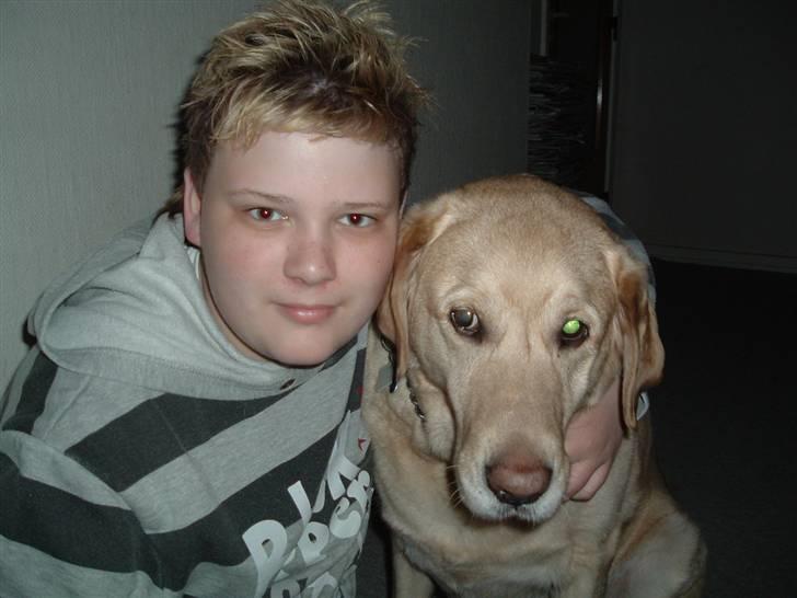 Labrador retriever Piv, aflivet 04-04-12 - 8. han ser trist ud men han er altid lalleglad ;) så det er han ikke ;) billede 8