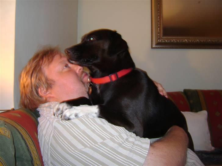 Blanding af racer Tøsen billede 5