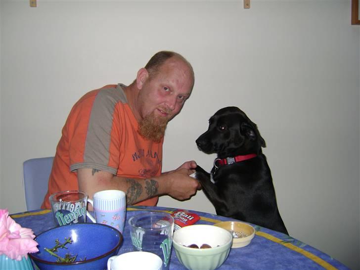 Blanding af racer Tøsen billede 6