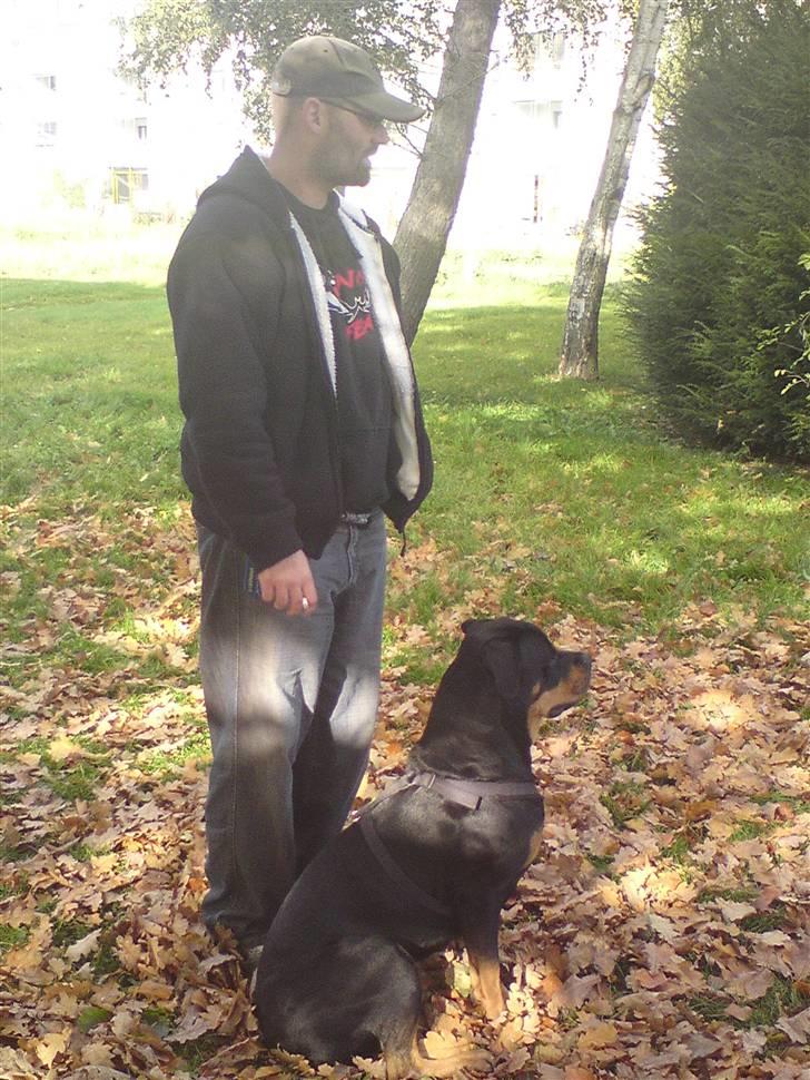 Blanding af racer Freja (Udfordring?)  - Sidder pænt ved siden af far... Det er jeg blevet rigtig god til billede 20