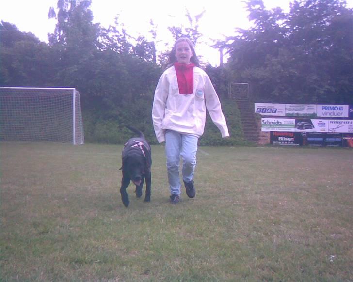 Blanding af racer | Sille | Tricks hunden** - Sille og Louise træner. Sille skal lære at koncentrerre sig og følge efter i samme tempo billede 8